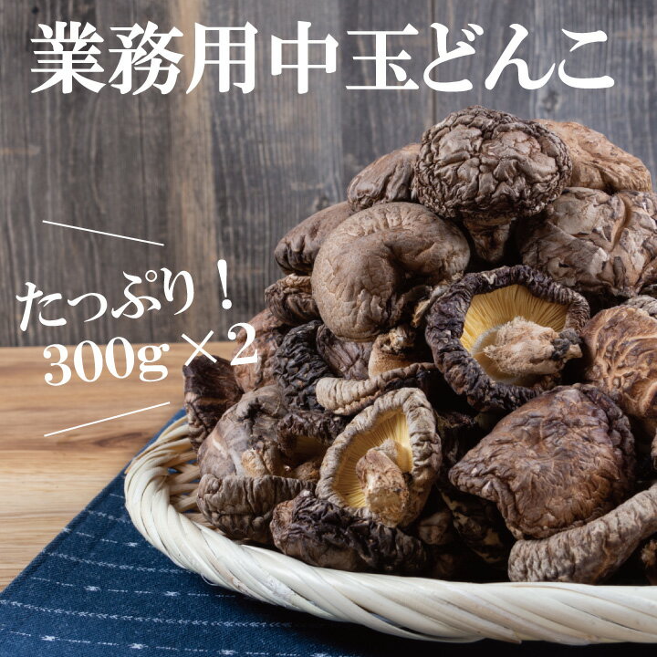 国産中玉どんこ椎茸300g 2【業務用 シイタケ しいたけ 乾し椎茸 グアニル酸 ビタミンD 低カロリー 食物繊維 無農薬】【沖縄は送料別途500円/離島は後日連絡】