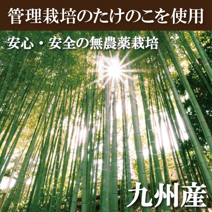 九州産筍ごはんの素（2合用）3個セット【たけのこご飯の素　簡単調理　数量限定　春の香り　絶品　しゃきしゃき食感】