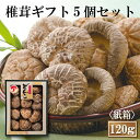 大分産大玉どんこ椎茸5個セット〈紙箱入り〉【120g JSH-30 しいたけ ギフト お中元 お歳暮 香典返し 国産 干し椎茸 干ししいたけ どんこ 無農薬 原木栽培】【沖縄は送料別途500円/離島は後日連絡】