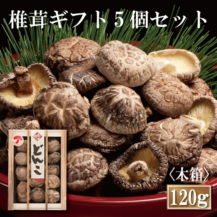 大分産大玉どんこ椎茸5個セット〈木箱入り〉【120g MDK-30 しいたけ ギフト お中元 お歳暮 香典返し 国産 干し椎茸 干ししいたけ どんこ 無農薬 原木栽培】