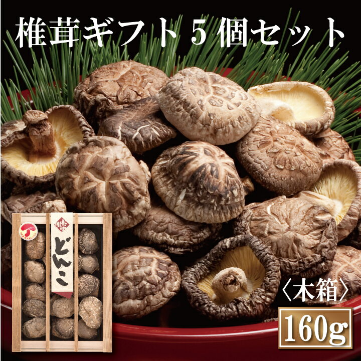 大分産大玉どんこ椎茸5個セット〈木箱入り〉【160g MDK-40 しいたけ ギフト お中元 お歳暮 香典返し 国産 干し椎茸 干ししいたけ どんこ 無農薬 原木栽培】