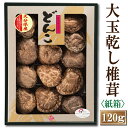 【送料無料】干し椎茸 大分産大玉どんこ椎茸〈紙箱入り〉120g【お中元 お歳暮 香典返し ギフト 熨斗・包装・手提げ袋無料 国産 干し椎茸 干ししいたけ どんこ 無農薬 原木栽培】