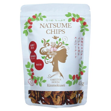 【送料無料】なつめチップス40g 3個セット【美容 妊活 腸活 健康 ダイエット アンチエイジング スーパーフード おやつ なつめ チップス 薬膳 ドライフルーツ セット 約1週間分】