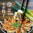【お買い物マラソン】期間限定!10%OFFクーポン配布中!◆国産◆たっぷりネギ餃子 100個 大阪名物浪花のぽんちゃん餃子 餃子 冷凍餃子 生餃子 ぎょうざ ギ...