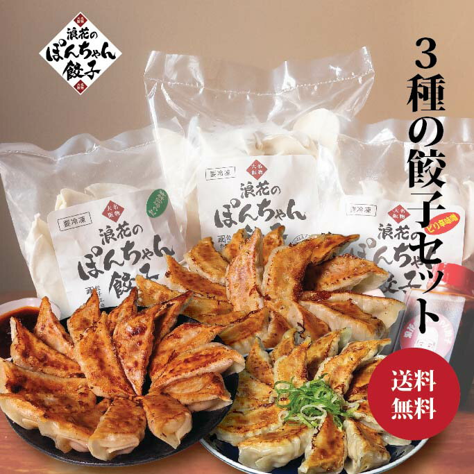 餃子計画 いちど食べたらやみつきになる餃子 720g * 2袋セット 冷凍餃子 冷凍食品 ぎょうざ