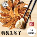 大阪名物浪花のぽんちゃん餃子　100個（50個×2袋）　冷凍餃子　ジューシー　ビールに合う おつまみ　簡単　生餃子　お取り寄せグルメ　ギョウザ　ギョーザ　ホワイトデー　ビールにあうおつまみ　まとめ買い　お得