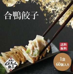 ◆国産◆特撰合鴨ねぎ生餃子 60個 大阪名物浪花のぽんちゃん餃子 鴨 カモ 鳥餃子 冷凍餃子 肉餃子 ジューシー ヘルシー 鍋 ビールに合う おつまみ 簡単 生餃子 お取り寄せグルメ ギョウザ ギョーザ 敬老の日 秋分の日 秋ギフト 紅葉 お彼岸 送料無料