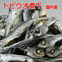 送料無料 長崎県産 あご 煮干 100g×2袋 とびうおだし用 あごだし用