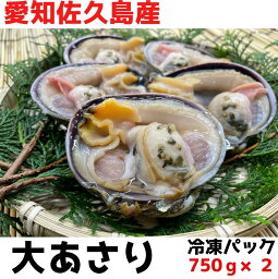 大あさり【愛知佐久島産】約1.5kg　BBQやご自宅でも！大アサリ　冷凍　2〜3人前！送料無料！