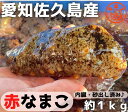 【愛知県佐久島産】赤なまこ　約1kg　海鼠　ナマコ　新鮮　国産なまこ　愛知　送料無料