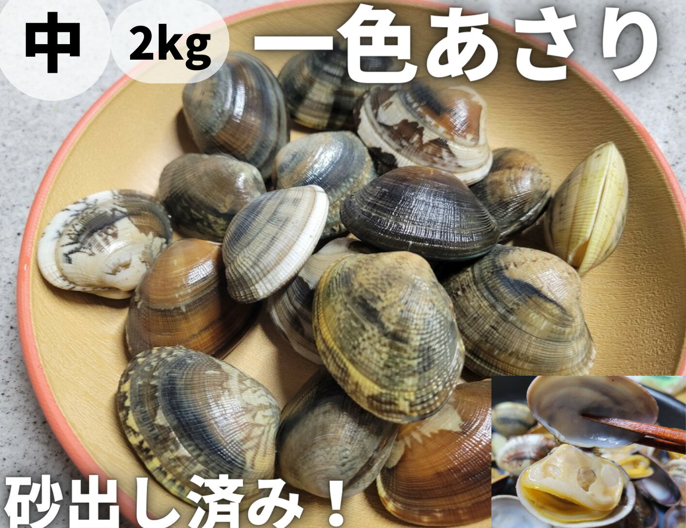 【愛知県産】一色あさり　愛知アサリ　浅利　一色アサリ【送料無料】【国産】【中サイズ　2kg】