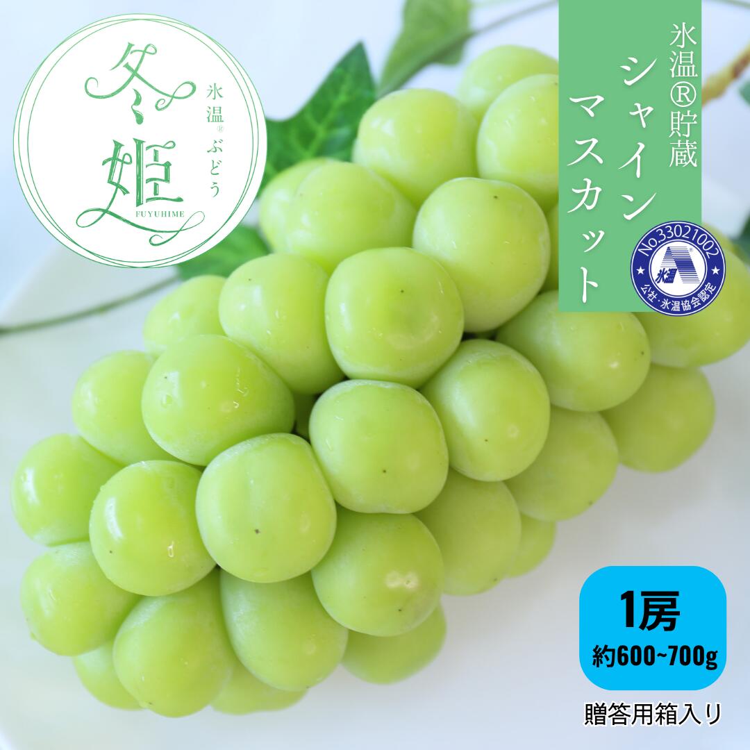 商品情報名称シャインマスカット産地名岡山県内容量600g~700g保存方法冷蔵備考冷蔵配送12月以降発送 冬に食べる シャインマスカット 冬姫 氷温貯蔵 1房 600g ~ 700g マスカット 冬 果物 贈答用 ギフト 贅沢 取り寄せ お取り寄せ 秋の味覚をそのまま冬に食べるという贅沢 5