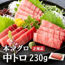母の日 本マグロ 中トロ 230g 正規品 お歳暮 贈答品 本まぐろ 本鮪 ホンマグロ 鮪 まぐろ マグロ 中とろ 中トロ 柵 寿司 刺身 海鮮 海鮮丼 丼 お...