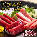 母の日 天然本マグロファミリーセット 中とろ 赤身 計360g 正規品 お歳暮 贈答品 わさび付 海鮮 刺身 寿司 本まぐろ 本マグロ マグロ 中トロ 鮪 まぐ...