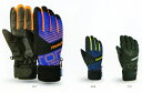 【ラッキーシール対応】REUSCH TORBENIUS R-TEX XT ロイッシュ スキーグローブ スキー手袋 ski