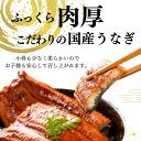 母の日ギフト 3尾 うなぎ蒲焼き 国産うなぎ 炭火焼き 愛知 三河一色産 うなぎ 蒲焼き 長焼き有頭 三河一色産 鰻 ウナギ 国産 かね梅 プレゼント グルメ 送料無料 離島配送不可 3