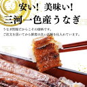 母の日ギフト 3尾 うなぎ蒲焼き 国産うなぎ 炭火焼き 愛知 三河一色産 うなぎ 蒲焼き 長焼き有頭 三河一色産 鰻 ウナギ 国産 かね梅 プレゼント グルメ 送料無料 離島配送不可 2