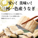 母の日ギフト 3尾 うなぎ白焼き 国産うなぎ 炭火焼き 愛知 三河一色産 うなぎ 白焼き 長焼き 有頭 三河一色 鰻 ウナギ 国産 かね梅 プレゼント グルメ 送料無料 離島配送不可 2