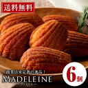 焼き菓子 マドレーヌ6個セット！ 子どものおやつやティータイム、プチギフト、ポイント消化に！ケーキハウスカネヤマ≪メール便！送料無料≫