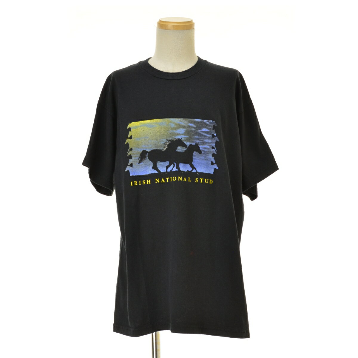 Rakuten - 【中古】SCREEN STARS / スクリーンスターズIRISH NATIONAL STUD半袖Tシャツ【cacfbabb-m】
