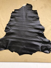 ���եȥ��󥬥롼���˥��ž夲��200407����������䥭����¿���פǤ�