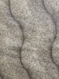 ���եȥ��󥬥롼�� �Хå�/�����ѡ�200410���١�����ץץ���