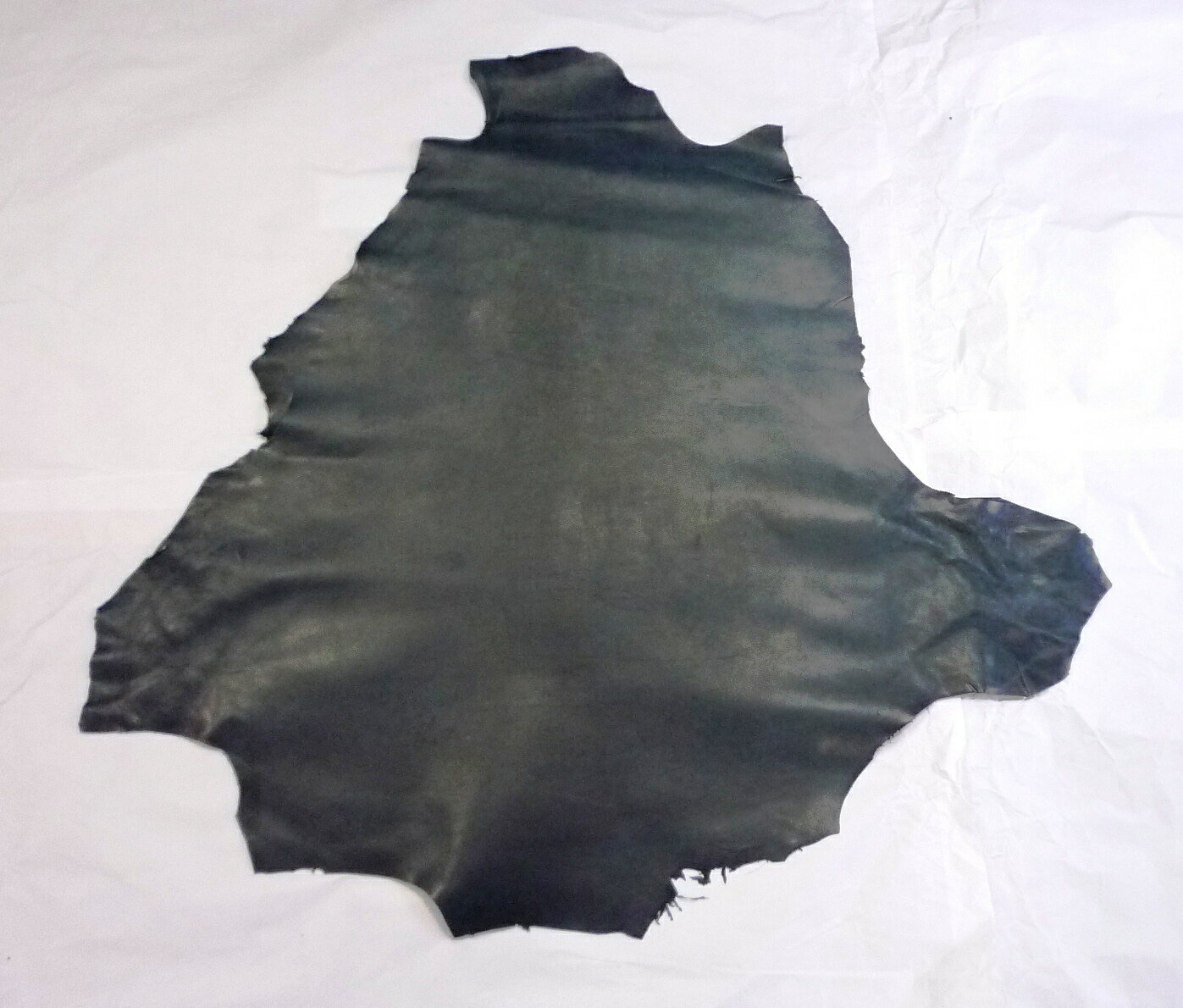 楽天市場】カンガルー革の通販