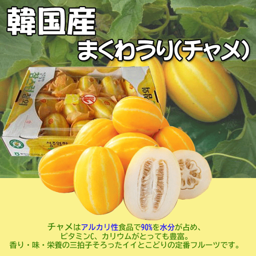 【韓国産ウリ】まくわうり(チャメ) 5個 小玉〔クール便商品〕 【韓国産ウリ】まくわうり(チャメ) 5個 小玉〔クール便商品〕