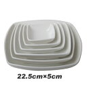 「在庫処分セール」四角ナムル用お皿「約22.5cmX5cm」■韓国食器■韓国/韓国食品/食器/キッチン用品/ナムル/四角お皿/お皿/皿/激安【YDKG-s】