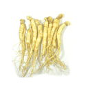 ◆冷蔵◆【時価】サムゲタン用・人参2年根2〜3個(約50g)