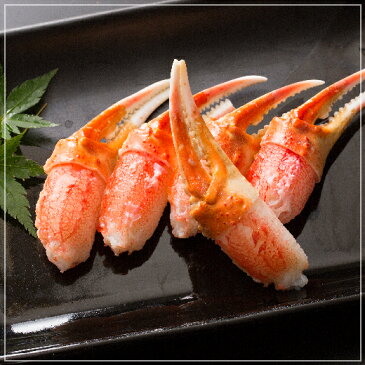 エントリーでポイント10倍 年末 年始 配送受付中 味も食べごたえ抜群 / ずわいがに2本爪 総重量1kg 21-40本入り / かに カニ 蟹 ずわいがに ズワイガニ かに爪 カニ爪 かに鍋 カニ鍋 刺身 ボイル お歳暮 御歳暮