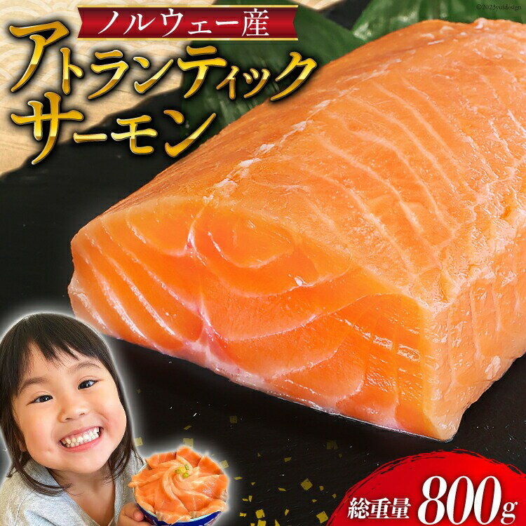 【年末年始配送受付中！】 アトランティックサーモン 総重量800g(正味重量680g) ノルウェー産 魚 魚介類 サーモン 刺身 小分け 鮭 海鮮 生食用 真空パック さけ サケ 人気 食品 ギフト 贈り物 プレゼント 年末年始 クリスマス お歳暮 御歳暮 ご年始 御年始 御祝 お祝い