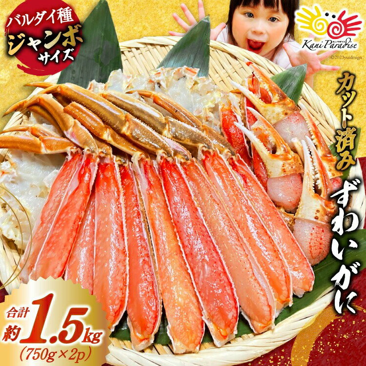 楽天カニパラダイスかに カニ 蟹 カット済 ずわいがに むき身セット 総重量1.5kg（750g×2p） かに鍋 正味重量1.2kg ズワイガニ ずわい蟹 オオズワイガニ バルダイ 父の日 母の日 御中元 お中元 サマーギフト 夏ギフト ギフト 敬老の日 プレゼント