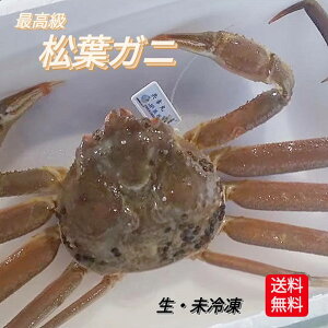 ズワイガニ 活カニ 松葉ガニ 姿 1kg 台 超特大 整体 A級 良品 松葉かに 生 未冷凍 活 活蟹 新物 カニ 生松葉 蟹 かに 年末年始 松葉がに 解禁 産地直送 兵庫県 鳥取県 お取り寄せ 天然 国産 グルメ 家庭用 自宅用 御祝 送料無料