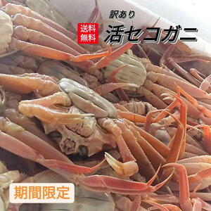 セコガニ せこがに 姿 セイコガニ 小小 3枚 セット 親がに せいこがに 香箱ガニ 甲箱ガニ 勢子蟹 背子蟹 コッペガニ 子持ち 内子外子 松葉かに 雌 メス 訳あり 足落ち ズワイガニ 生 未冷凍 活 新物 活カニ 蟹 かに 松葉がに 産地直送 浜坂 境港