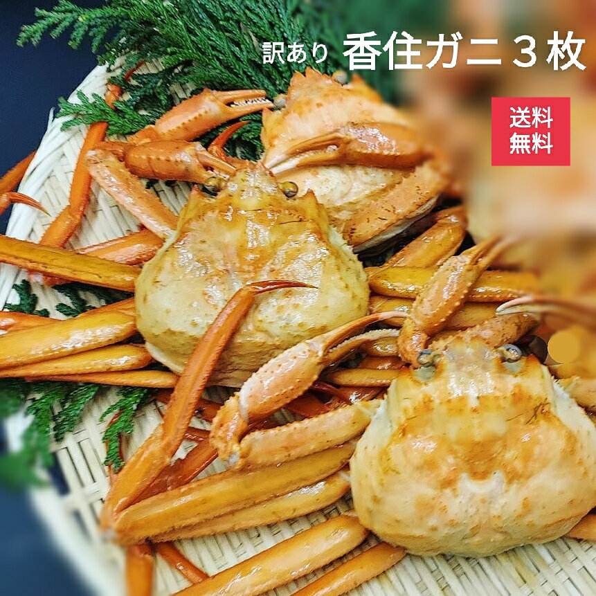 カニ 紅ズワイガニ 香住ガニ 姿 ボイル 3枚セット 香住蟹 解禁 【水揚げあり次第発送】 かに 蟹 訳あり 紅ずわいがに ずわいがに 紅ズワイ 紅かに 紅 ズワイガニ 360g 茹でカニ 紅蟹 セット お取り寄せ 自宅用 お買得 3杯 セット販売 9月解禁