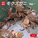 モクズガニ 天然 活 生 1kg 以上 メス 雌 10-13匹 上海ガニ 上海蟹 モクズ蟹 もくずが ...