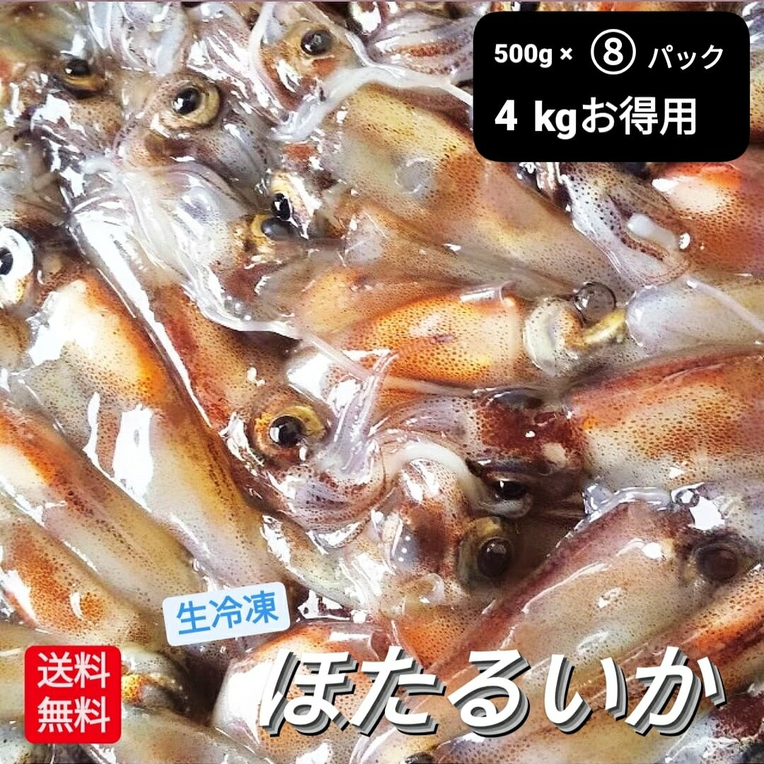 2024年 新物 A級 冷凍 生 ほたるいか 朝獲れ ホタルイカ 4kg 500g×8P 小分け 最安値に挑戦 釣り お得用 薄型 真空パック 生冷凍 山陰浜坂産 蛍烏賊 旬の食材 お刺身 しゃぶしゃぶ用 新鮮 鮮度抜群 期間限定 ファミリーパック 母の日 お得用 父の日