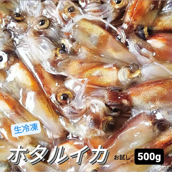 ホタルイカ A級 冷凍 生 500g 1P 朝獲れ ほたるいか 蛍烏賊 少なめ 新物 2026年 お試し お得用 小分け 薄型 真空パック 生冷凍 山陰浜坂産 旬の食材 お刺身 しゃぶしゃぶ用 新鮮 鮮度抜群 期間限定 ファミリーパック 母の日 父の日 送料別