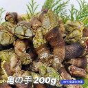 冷凍 亀の手 珍味 カメノテ かめのて カメの手 同梱に最適 200g サイズ混ざり お試し 急速生冷凍 高級 希少 ペルセベ ペルセベス 日本海 浜坂産 兵庫...