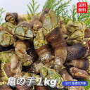 新物入荷 冷凍 亀の手 カメノテ カメの手 かめのて 1kg 500g 2 珍味 サイズ混ざり 急速冷凍 高級 希少 ペルセベ ペルセベス 簡単レシピ付き 日本海 浜坂産 兵庫県 鳥取県 鷹の爪 ゴジラ 酒の肴…