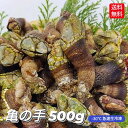 新物入荷 冷凍 亀の手 カメノテ かめのて カメの手 500g 珍味 サイズ混ざり 急速冷凍 高級 希少 ペルセベ ペルセベス 簡単レシピ付き 日本海 浜坂産 兵庫県 鳥取県 鷹の爪 ゴジラ 酒の肴 アテ …