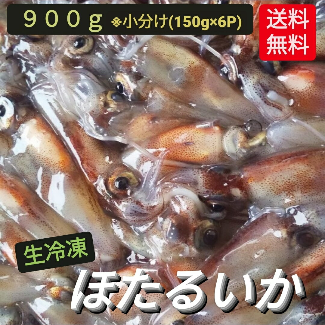 2024年 新物 A級 生 冷凍 ほたるいか 朝獲れ ホタルイカ 900g 以上 小分け 真空パック 生冷凍 山陰浜坂産 蛍烏賊 日本海 兵庫県 旬の食材 少量パック 薄型冷凍 150g×6P お刺身 しゃぶしゃぶ用 新鮮 鮮度抜群 期間限定 旬 少なめ 母の日 父の日