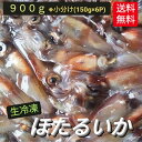 2024年 新物 A級 生 冷凍 ほたるいか 朝獲れ ホタルイ...