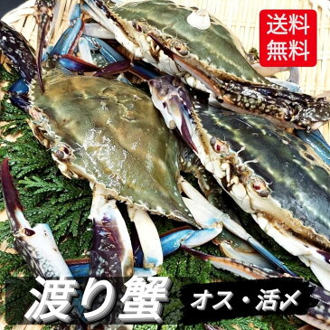 【天然ワタリガニ渡り蟹/オス雄/訳あり1kg】5〜8杯【わたりがに/かに/渡りガニ/ガザミ/カンジャンケジャン/伊勢湾/三河湾/愛知県/豊浜産/新鮮/ワケあり/グルメ/甲殻類】誕生日 プレゼント 贈答品 父の日 母の日 お祝い お中元 お歳暮 送料無料 クール便