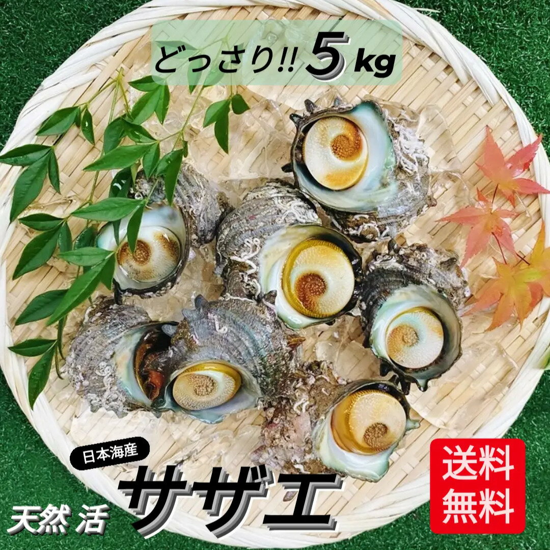 商品情報名　称天然活サザエ（サイズ混合）内容量5kg以上（25〜65個前後）産地名日本海産（鳥取県か兵庫県）発送について活きたままの状態で発泡スチロールに入れクール便で発送。※※サザエは低温で冷眠状態となり動かなくなって届くことがありますが、鮮度は保たれています。【ご注意】お届けに2日以上かかる地域は加熱用としてご利用下さい。※万が一、死着したものは加熱してお召し上がり下さい。 ※発送日を含め3日以内にお召し上がりく下さい。 ※到着後は必ず冷蔵保存でお願いします。 ※活き物ですので到着後は出来るだけお早めにお召し上がり下さい。 ●色々なご用途でご利用頂いております。 ※旬の食材等、商品によってご希望のご用途に対応できない場合もございます、予めご了承下さいませ。 お祝い・内祝い・お返し・季節の贈り物 贈り物 プレゼント お土産 手土産 贈答 贈答品 ギフト お見舞 ご挨拶 引越し 誕生日 バースデー お取り寄せ 成人祝 卒業祝 結婚祝 出産祝 誕生祝 初節句祝 入学祝 就職祝 新築祝 開店祝 移転祝 退職祝開店祝い 開業祝い 周年記念 記念 お見舞 退院祝 定年退職 転勤 昇進祝 栄転祝 来客 お客様 20代 30代 40代 50代 60代 70代 80代 還暦 古希 喜寿 米寿 記念日 パーティ ■----- 季節のイベント -------------　-------------　-------------　-------------　------------- 1月 お年賀 お正月 おせち お節 福袋 2022 成人の日 2月 節分 旧正月 バレンタインデー 3月 ひな祭り ホワイトデー 卒園 卒業 お花見 春休み 手巻き寿司 4月 イースター 入園 入学 就職 入社 新生活 新年度 行楽 ピクニック 5月 GW ゴールデンウィーク こどもの日 母の日 6月 父の日 ブライダル 7月 バーベキュー BBQ 海 川 夏休み 七夕 お中元 暑中見舞い 海の日 8月 夏休み 残暑見舞い 山の日 お盆 帰省 9月 敬老の日 シルバーウィーク 10月 孫の日 運動会 学園祭 ブライダル ハロウィン 11月 七五三 勤労感謝の日 12月 お歳暮 クリスマス 大晦日 冬休み 寒中見舞いサザエ さざえ 楽天 最安値 挑戦 天然 活 5kg以上(25〜65個入) BBQ バーベキュー 大量 新鮮 栄螺 貝 グルメ 肝が旨い 刺身 浜焼き つぼ焼き 壺焼き 壷焼き 肴 アテ 誕生日 プレゼント 贈答品 敬老の日 お祝い クール便 レビュー 投稿 キャンペーン 活きた新鮮なサザエが沢山届くのでお刺身にもBBQにも浜焼きにも◎色々出来ます♪ 5kg送料込でこのお値段！！！利益はないです。発泡に入れクール便でお届けしますので、鮮度も保たれて安心☆出来る限りお値段下げるために、保冷剤は入れませんがご了承下さいませ。※お受取りになられたら、即10℃以下で保存して頂きお早めにお召し上がり下さい。楽天市場 最安値に挑戦して頑張ります！※発送日を含め3日以内にお召し上がりく下さい。※到着後は必ず冷蔵保存でお願いします。※活き物ですので到着後は出来るだけお早めにお召し上がり下さい。 12