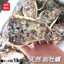 【予約】 岩牡蠣 岩ガキ 1kg以上 かき カキ 生食用 生牡蠣 1kg 220g以上 4〜5個 セット 生食 殻開けサービス 殻外し説明書付き 殻付き 牡蠣 ...