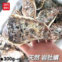 【予約】 岩牡蠣 岩ガキ 1.2kg以上 かき カキ 生食用 生牡蠣 300g台 4個 セット 生食 殻開けサービス 殻外し説明書付き 殻付き 牡蠣 天然 活 ...
