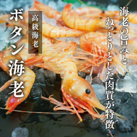 ボタンエビ 海老 エビ えび 500g 刺身 特大 甘えび ぼたんえび ボタン海老 甘海老 刺身 甘み 弾力 海老..