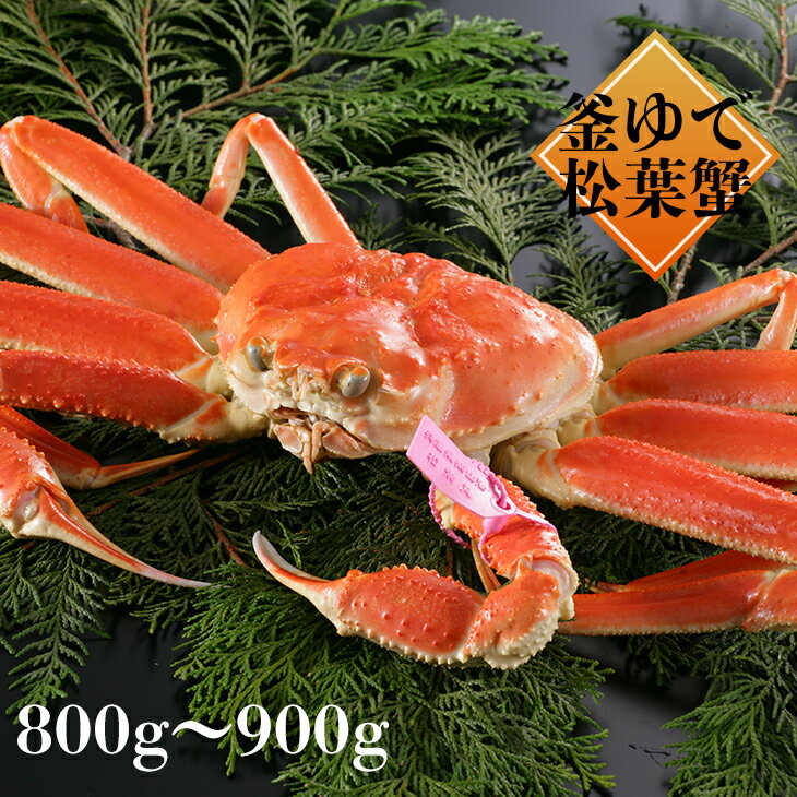 【送料無料】【11月10日～11月30日／1月15日～3月20日のお届け】茹で松葉かに800g-900g津居山・柴山・浜坂かにの釜ゆで松葉かにを直送かにすき、焼きカニ、甲羅焼き、茹でがに